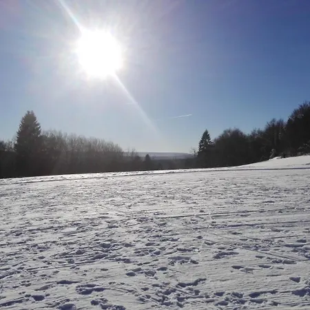  Im Thueringer Wald Mit Grill Und Garten