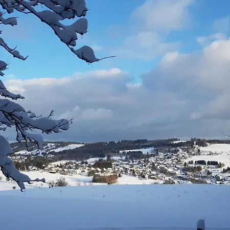 Im Thueringer Wald Mit Grill Und Garten