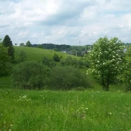 Im Thueringer Wald Mit Grill Und Garten 