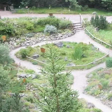 Im Thueringer Wald Mit Grill Und Garten *